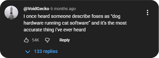 videos_comment_1